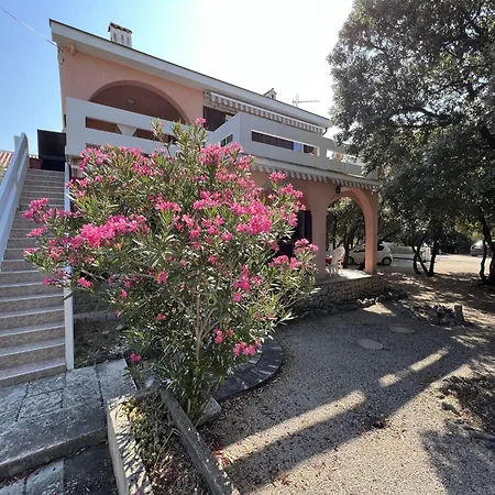 Casa de Férias House With A Parking Space Simuni, Pag - 22608